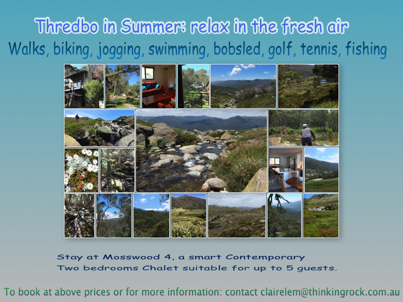 Thredbo-summer-web