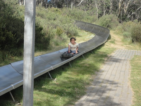 bobsled-fun